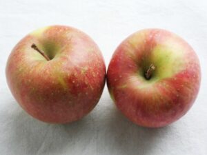 りんご2個を並べた様子