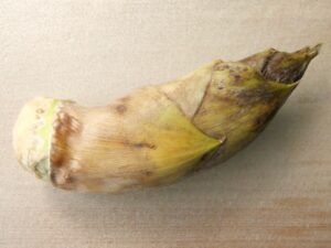 皮付きたけのこをまな板の上にのせた様子