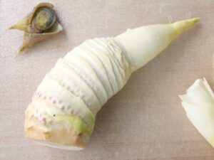 皮をむき終わったたけのこ