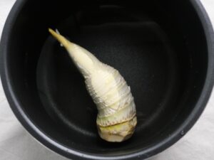 電気圧力鍋の内釜に、たけのこと水を入れた様子