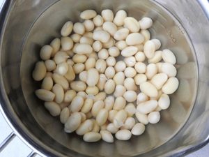 吸水が終わった大豆。しわなく大きくなった状態